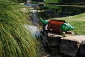 CROCO | Borowski exhibition in the Botanical Garden Bonn 2014