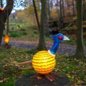 Pheasant Ludo light object: a magnificent sight even in autumn and winter