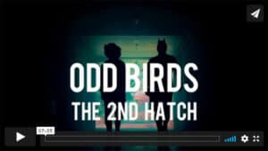 ODD BIRDS 2nd Hatch - Borowski Video