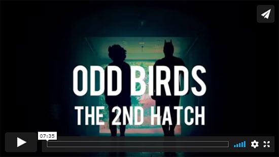 ODD BIRDS 2nd Hatch - Borowski Video