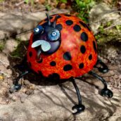 Luminous ladybird ROMEO