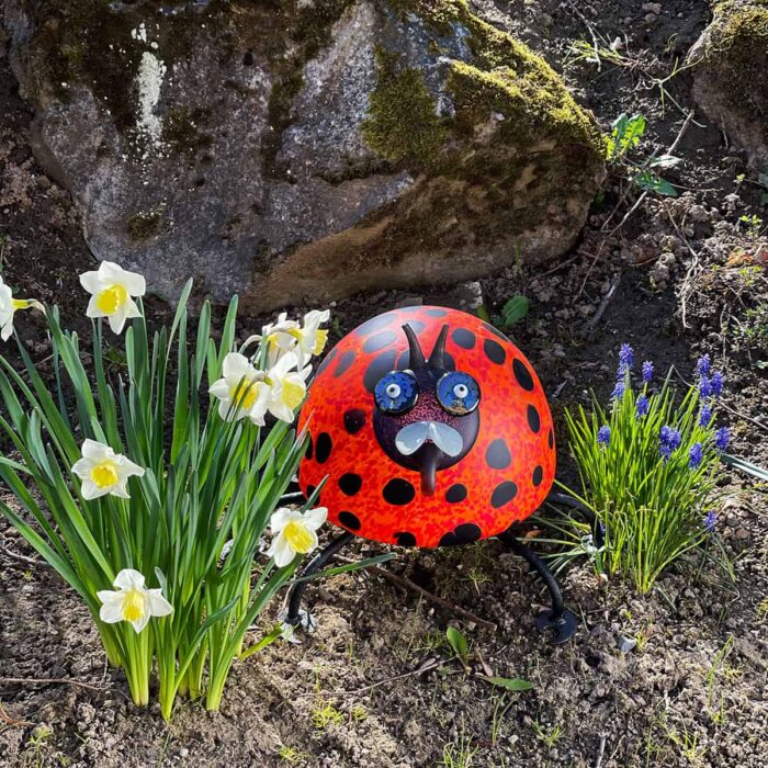 ROMEO ladybird light object in the spring bed