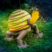 Das Lichtobjekt ARNOLD zitro ist eine große von innen beleuchtete Schildkröte für Ihren Garten.
