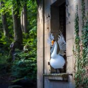 Ein stolzer Schwan ganz aus mundgeblasenem Glas in voller Pracht.